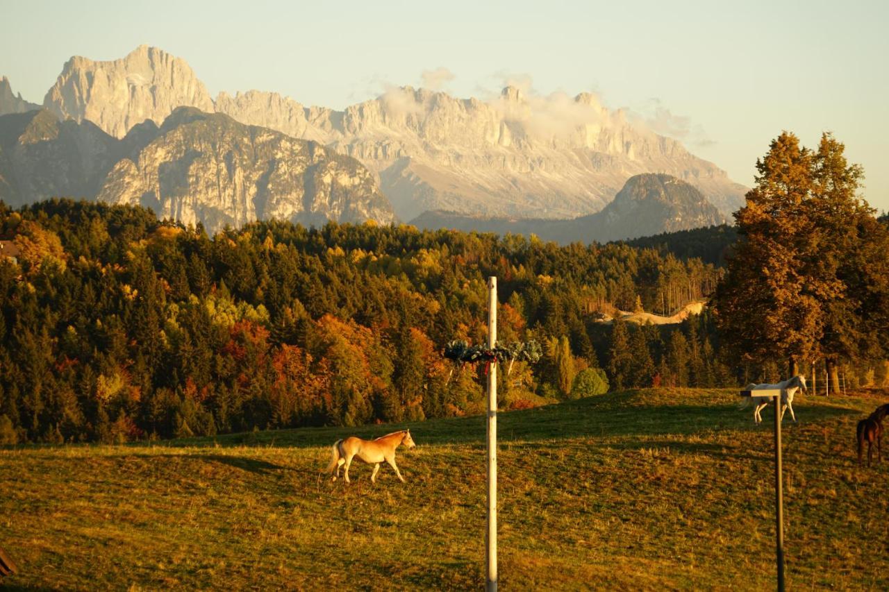 Отель Gasthof Mesnerwirt Auna di Sopra Экстерьер фото