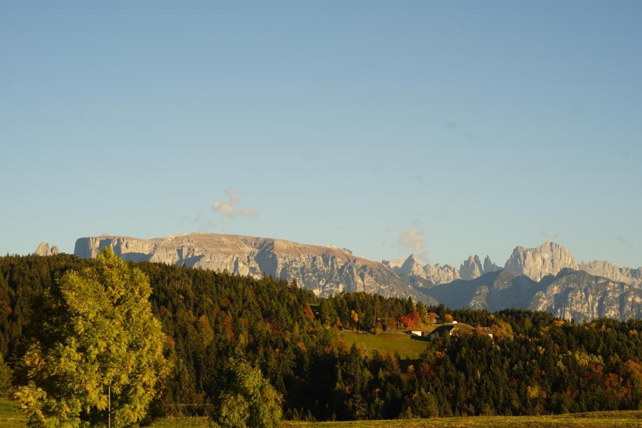 Отель Gasthof Mesnerwirt Auna di Sopra Экстерьер фото